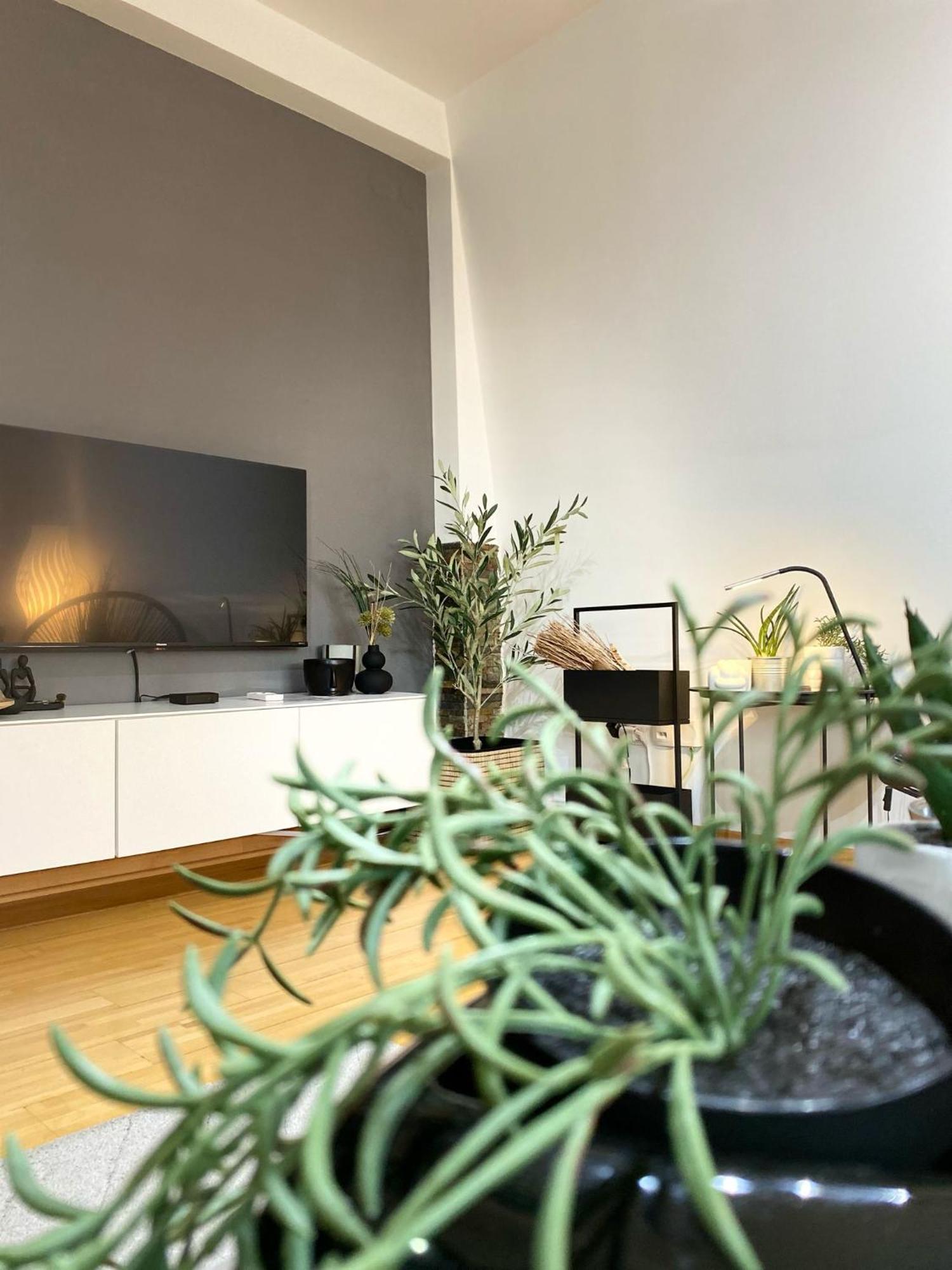 Apartman Riva Kraljevo Exteriör bild